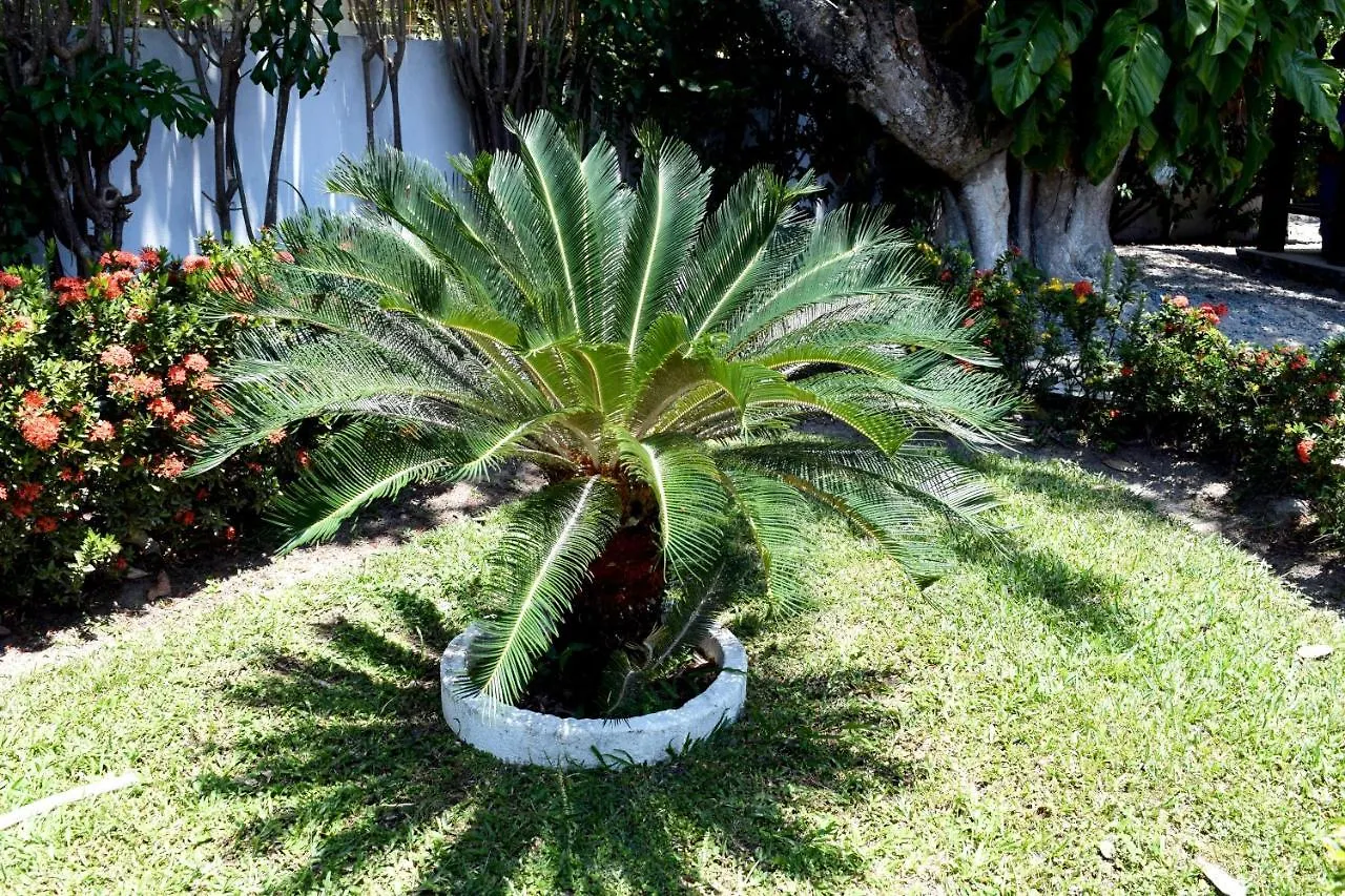 Casa de Férias Linda Casa No Centro De Porto Com Cozinheira E Piscinas Vila Pôrto das Galinhas